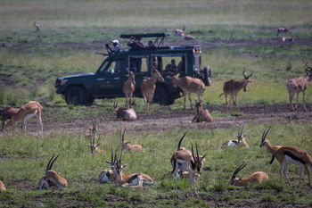 Hotel Elewana Sand River Masai Mara Maasai Mara Exteriér fotografie